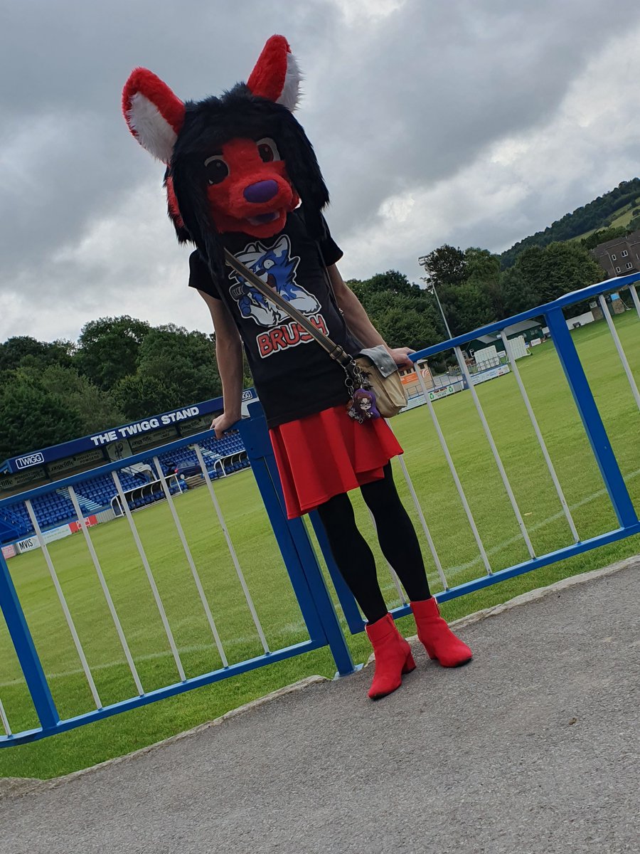 MetalGearHazumu's tweet photo. Posing in front of the pitch
#Furry #Fursuit #Fursuiter #FurryFandom #FurryCommunity #Sodaroo #FursuitFriday #MatCon #MatCon1 https://t.co/PCQmsY9JuS