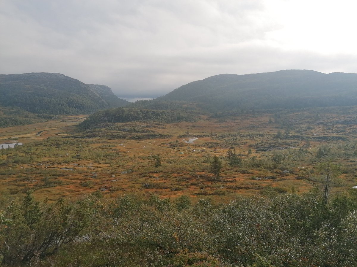 Heute startet das Solo bei der #Herausforderung Into the Wild 🇳🇴. Bis zu 50h allein mit sich und seinen Gedanken. <a href="/stswir/">Winterhuder Reformschule</a>
