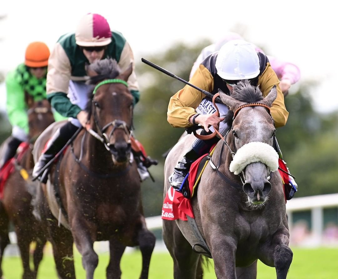 Harty Racing tweet media