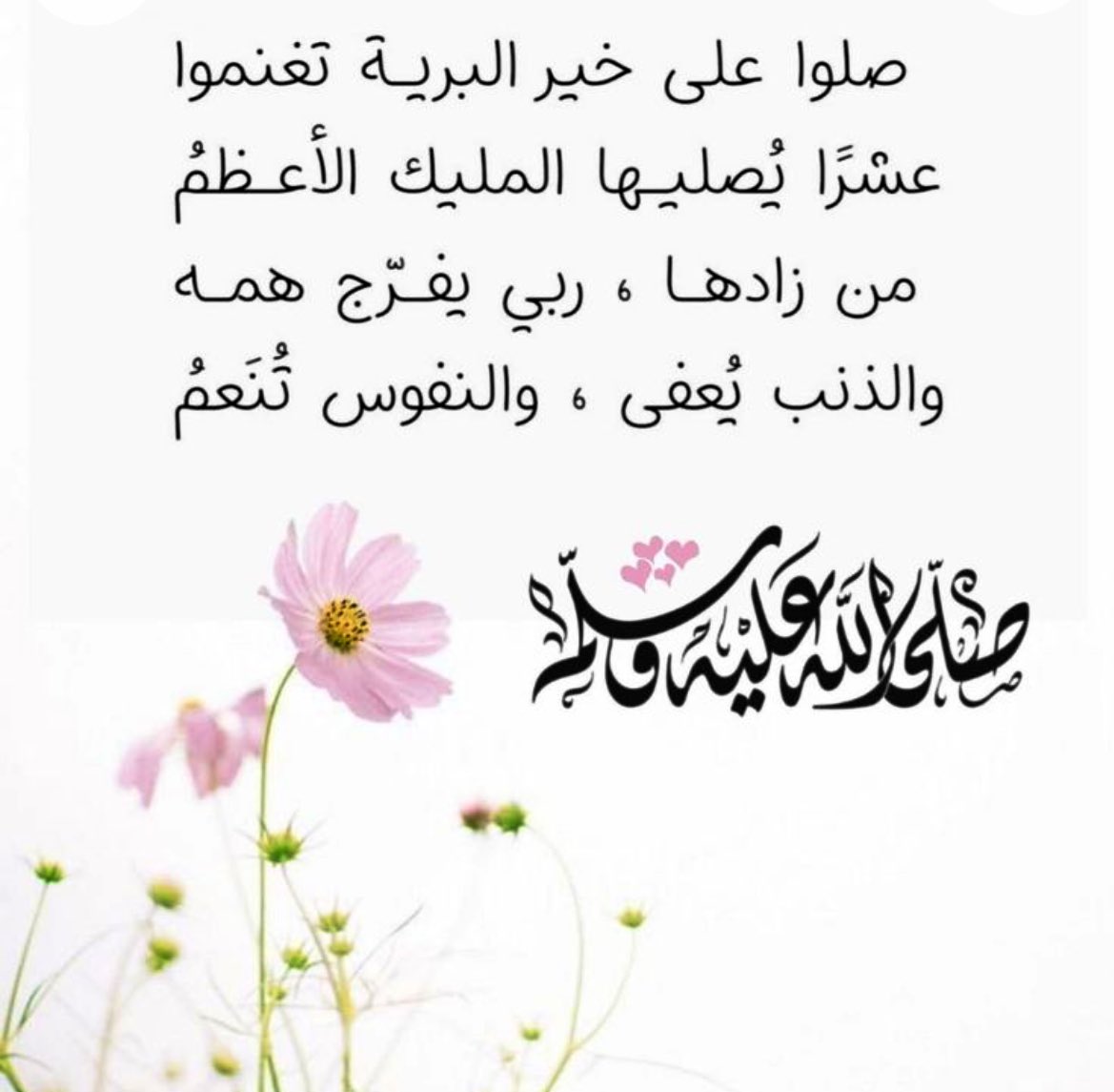 د.فوز عبداللطيف كردي tweet media
