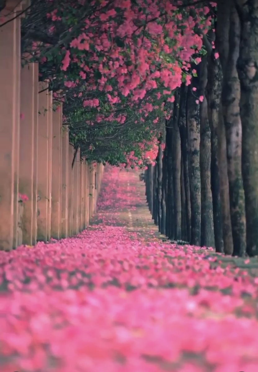 AliaBlakedp708's tweet photo. Happy Friday🌿🕊️ https://t.co/Q5rKvIef1C