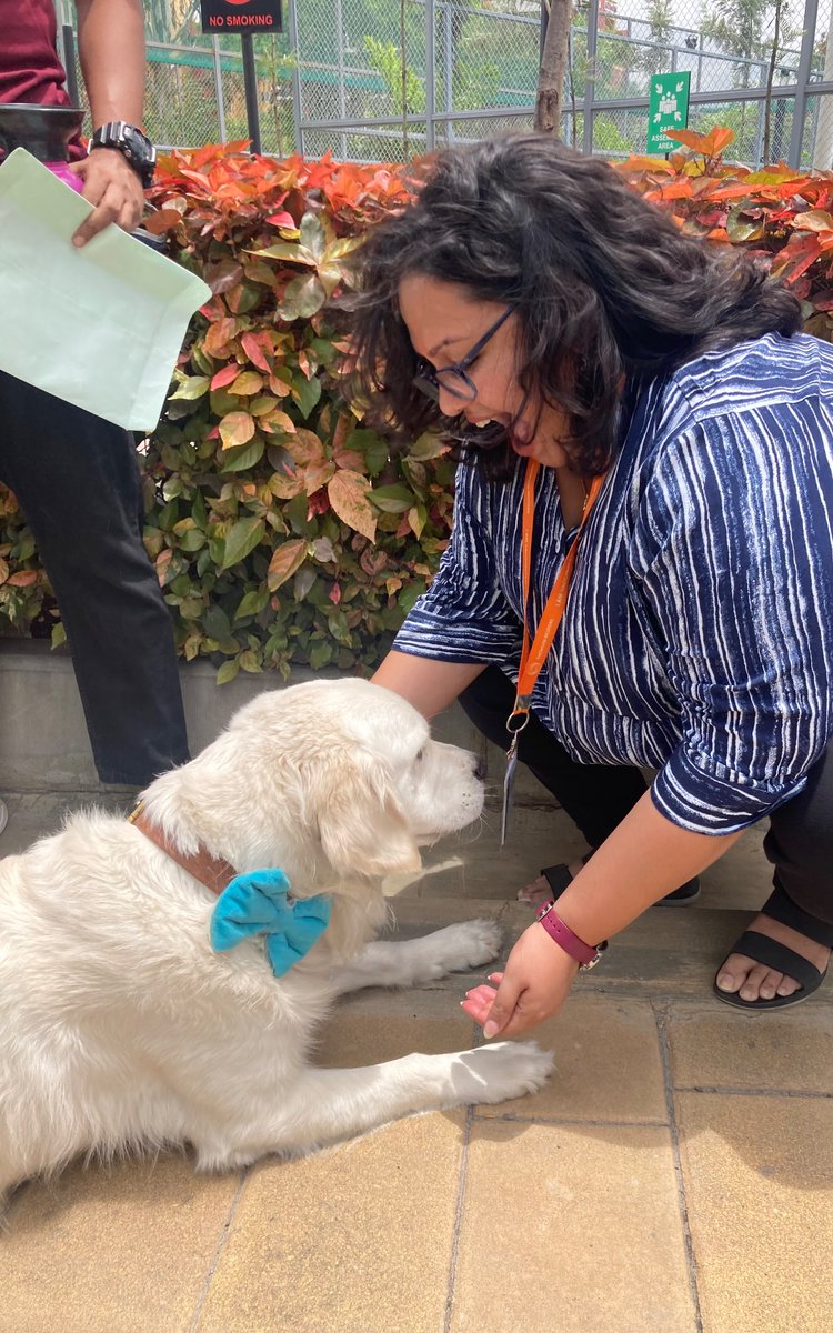 DhanyaTweets's tweet photo. Made some new friends at work today. #PawsAndTailsDay #WorkingAtTR @Reuters https://t.co/5AW8CcgPcU