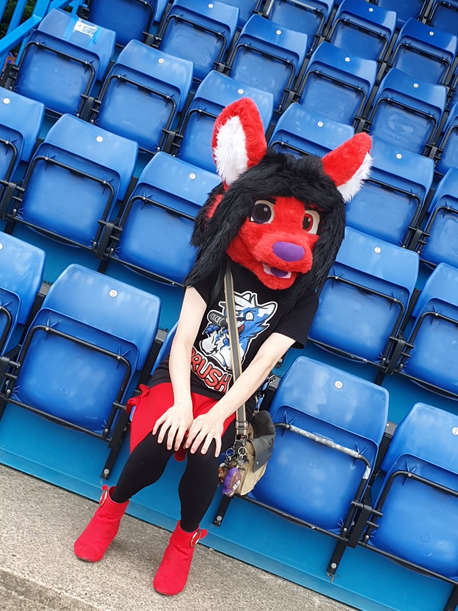 MetalGearHazumu's tweet photo. Looking cute at the Twigg Stand
#Furry #Fursuit #Fursuiter #FurryFandom #FurryCommunity #Sodaroo #FursuitFriday #MatCon #MatCon1 #Matlock #MatlockTownFC https://t.co/MmJMxnObzX