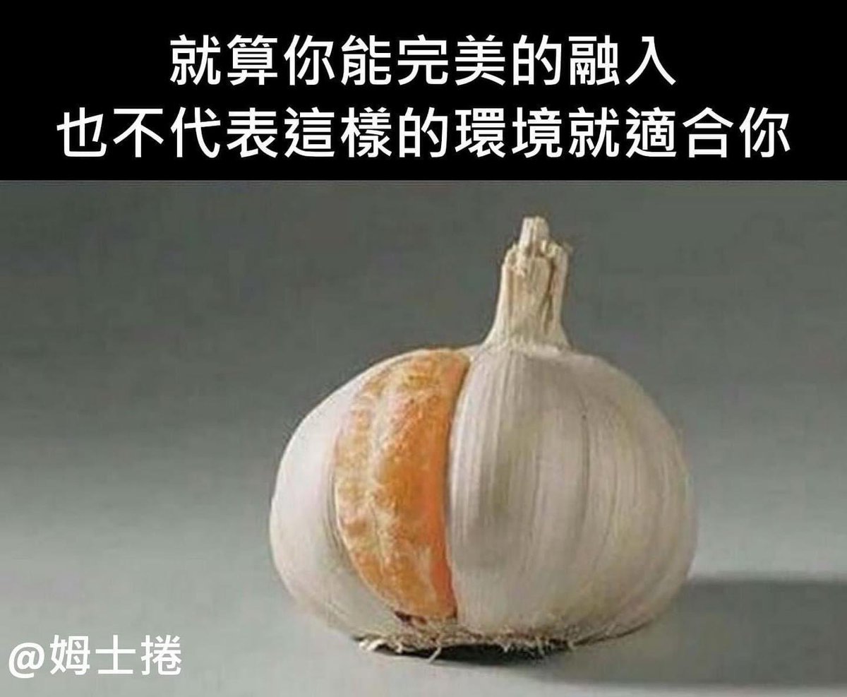 🍌θωθ蛋破崙θωθ🍌 tweet media