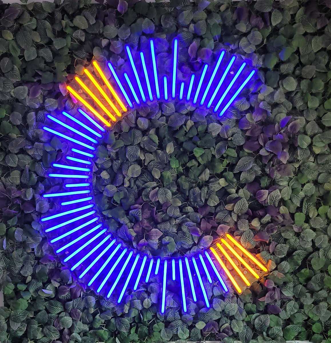 Cap Financials tweet media