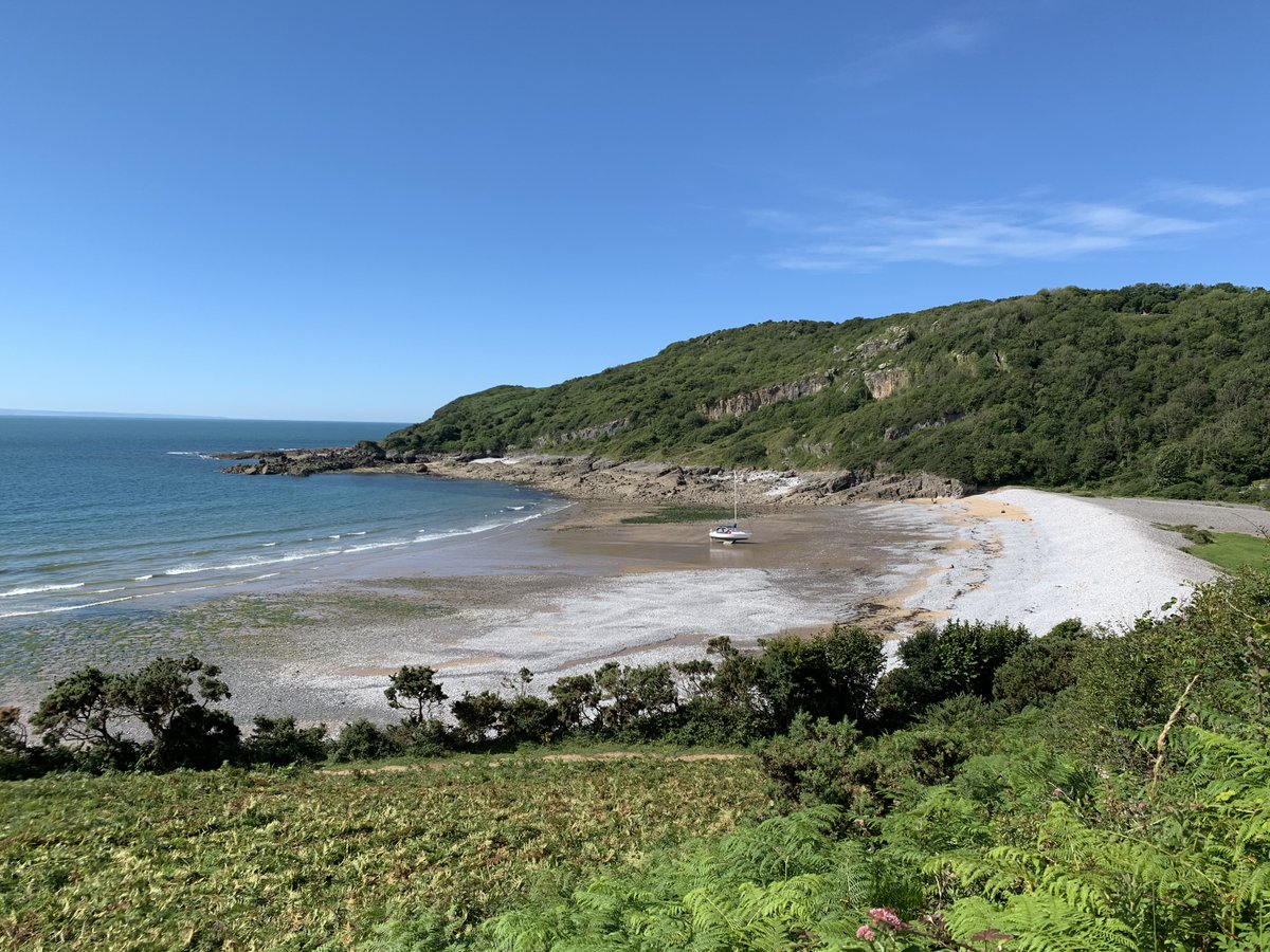 Hael Farm Cottages tweet media