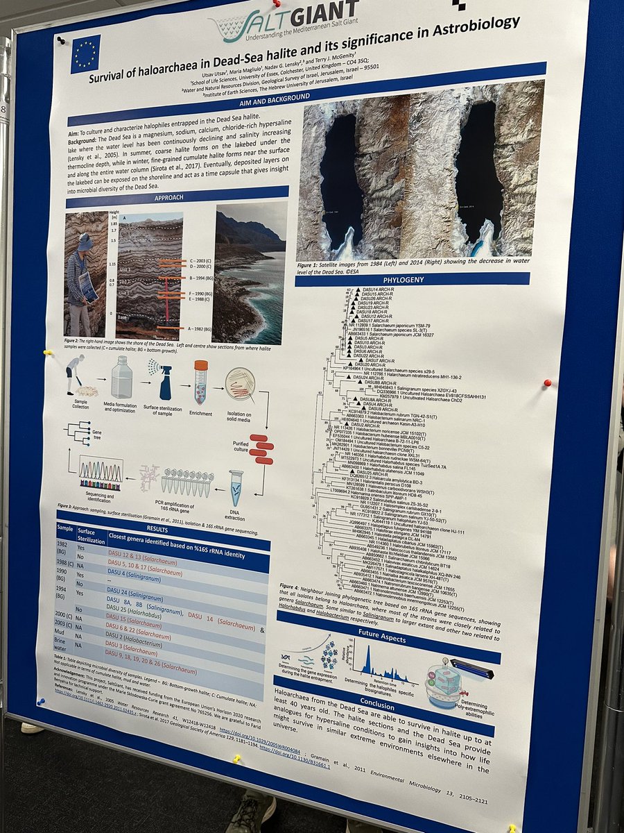 Utsav Dhiman tweet media