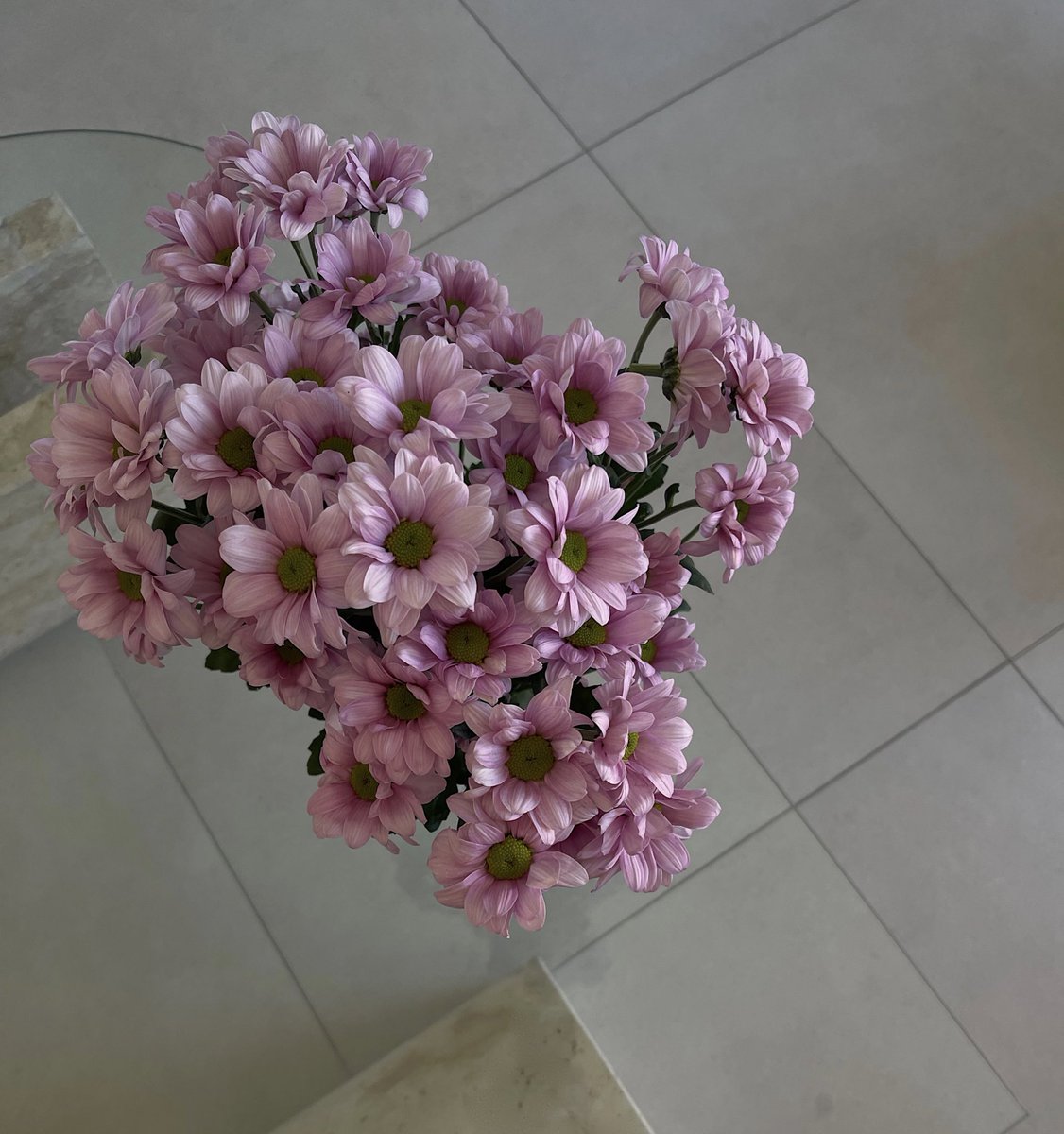 itssudem's tweet photo. Flowers>>> https://t.co/kOxpC2Yg0B