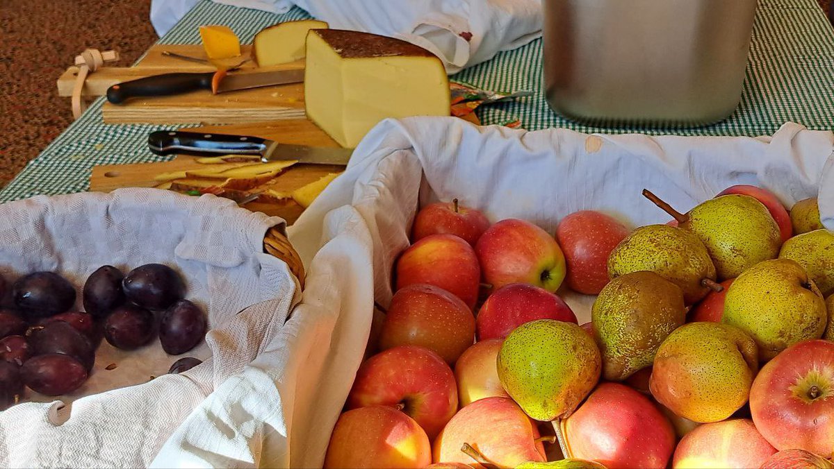 Wow! Es sind über 100 Teilnehmende beim 11. Naturschutzpolitischen Frühstück. Berlin kann Naturschutz! Auf der Tagesordnung sind die bevorstehenden Haushaltsberatungen, Klimafolgenanpassung und Stadtgrün, Berliner Stadtnatur sowie Umwelt- und Naturbildung im Fokus.