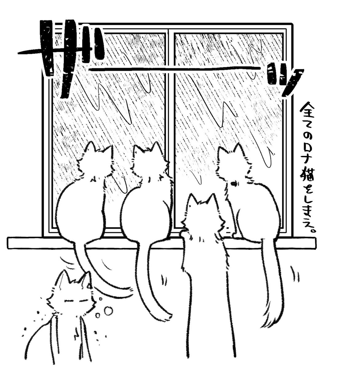 しまえしまえ=^・ω・^= 