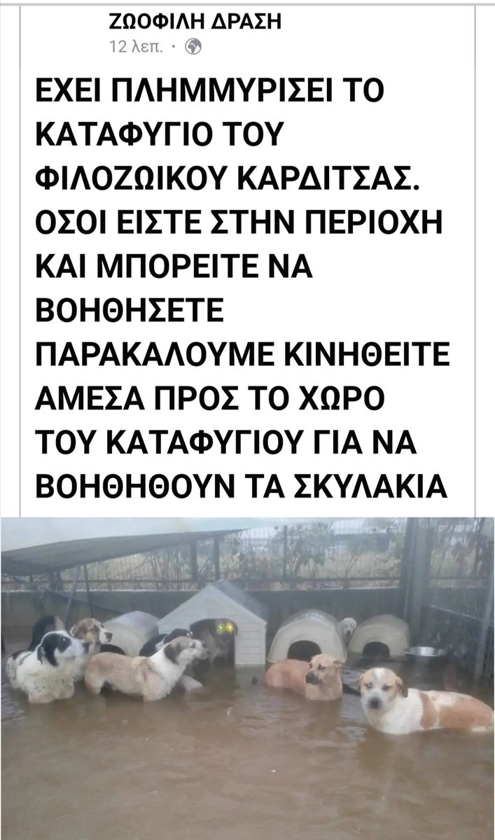 Chica tweet media