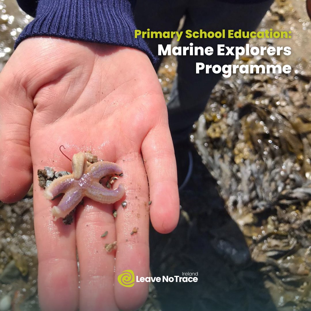 LeaveNoTraceIrl's tweet photo. Why did the shrimp refuse to share its treasure? Because it was a little shellfish! 🦐
With kids' return to primary schools, the @explorersedu #MarineExplorers Programme is back! Children connect with their coastal areas & learn about life under the sea:
https://t.co/GUfxDUzTYh https://t.co/jDYchdG5SJ
