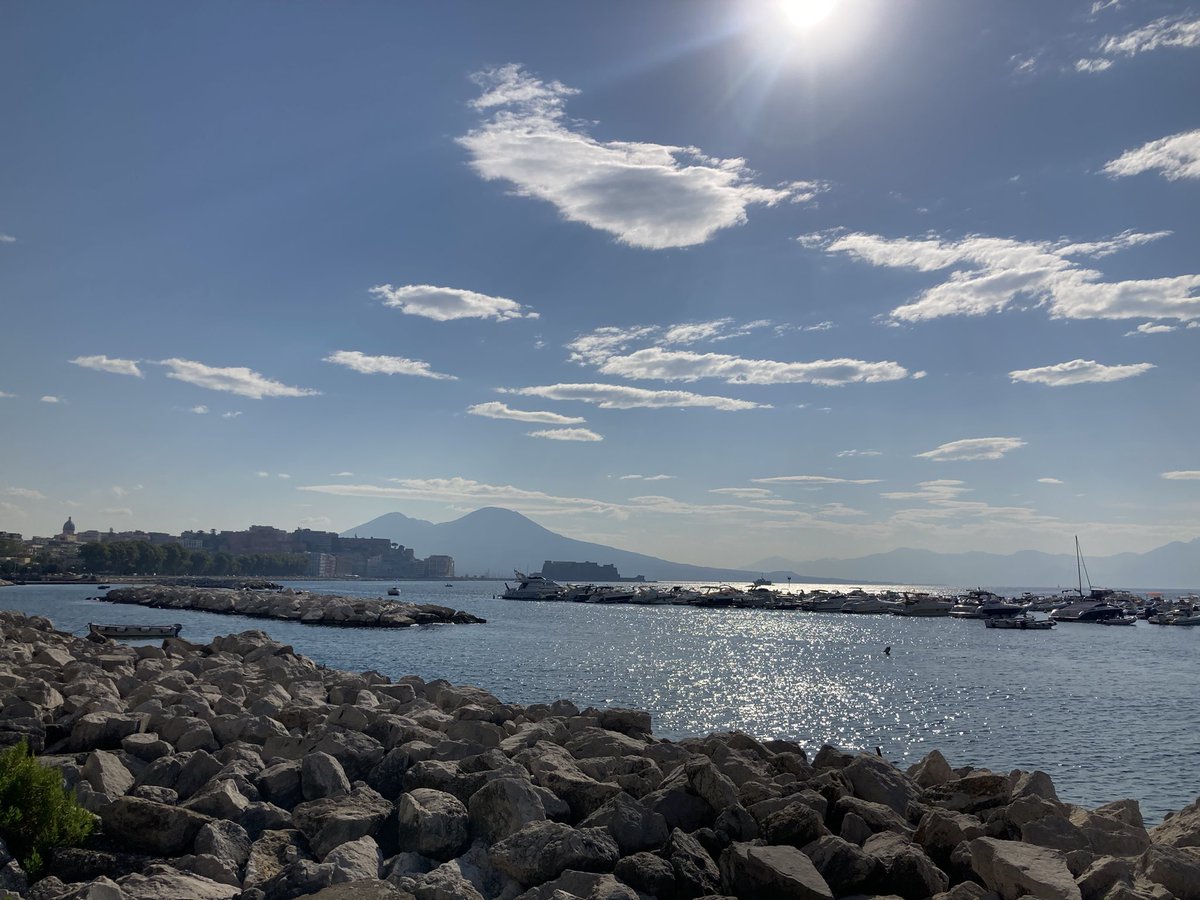 Francesca Campani tweet media