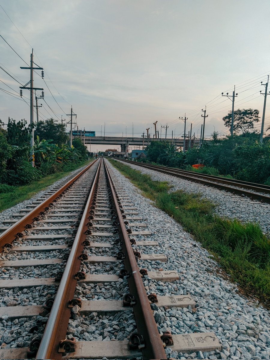 RAILWAY ROUTE IN MY VILLAGE.🛤️
#photography #railwayroute