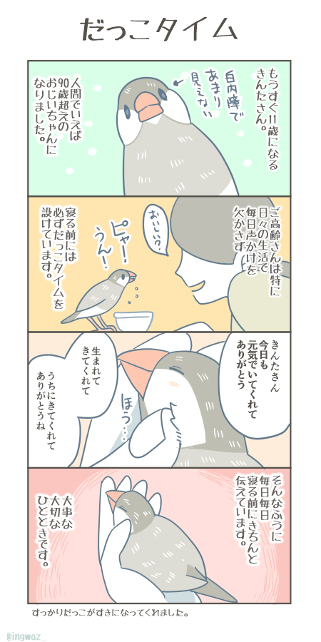 だっこタイム。
半荒鳥だったきんたさん、もうすぐ11歳。人間で言えば90歳以上。このところ、すっかり抱っこがすきになってくれました。

#Buncho #漫画が読めるハッシュタグ  #文鳥 
