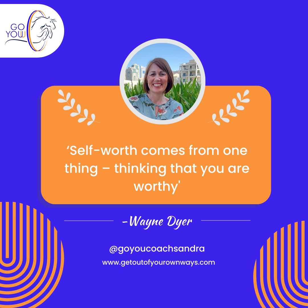 GOYOU_Empower's tweet photo. Your opinion of yourself is far more valuable than some one else's opinion of you. After all, you know you the best, spending 24 hours a day 7 days a week with yourself. #self worth #self love #inner trust #empowerment #GOYOU https://t.co/pXWZyWLovf