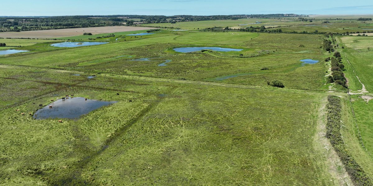Appel à Manifestation d'Intérêt : Mise en place d'une régulation  des Espèces Susceptibles d'Occasionner des Dégâts (ESOD) sur les  propriétés du Conservatoire du Littoral - Sites de la Basse vallée de la  Somme et du massif dunaire du Marquenterre.

bit.ly/3R9l8VR