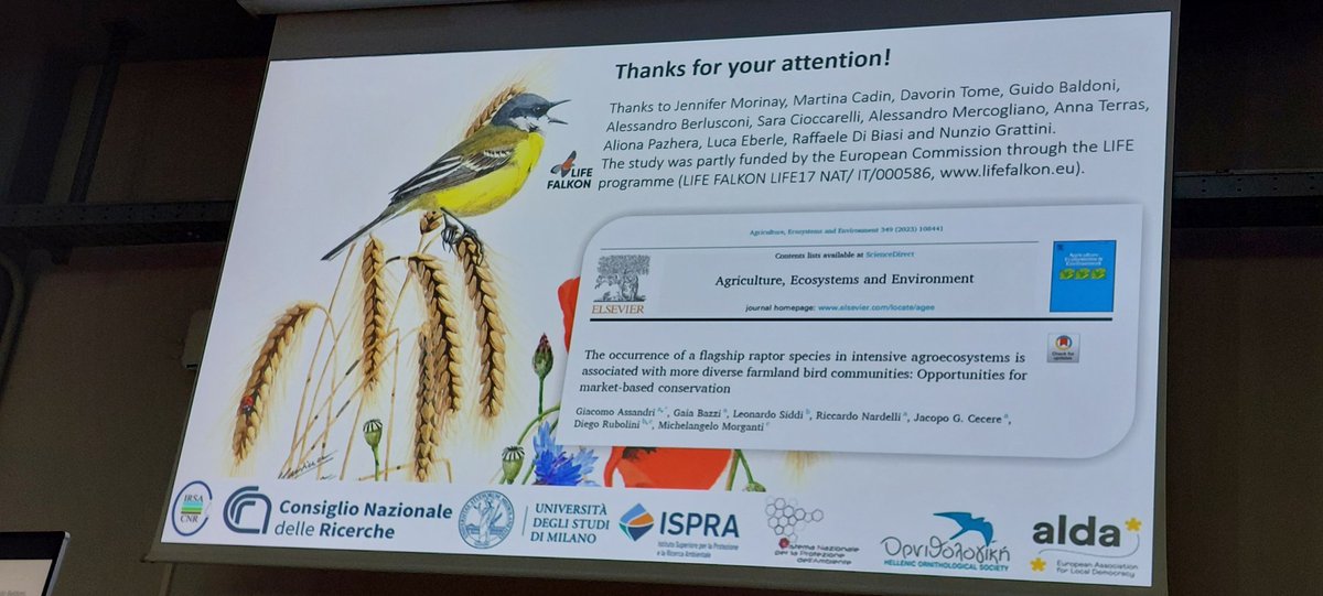 @lifefalkon tweet media