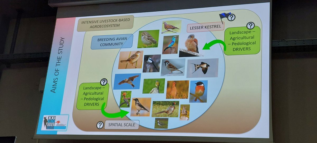 @lifefalkon tweet media