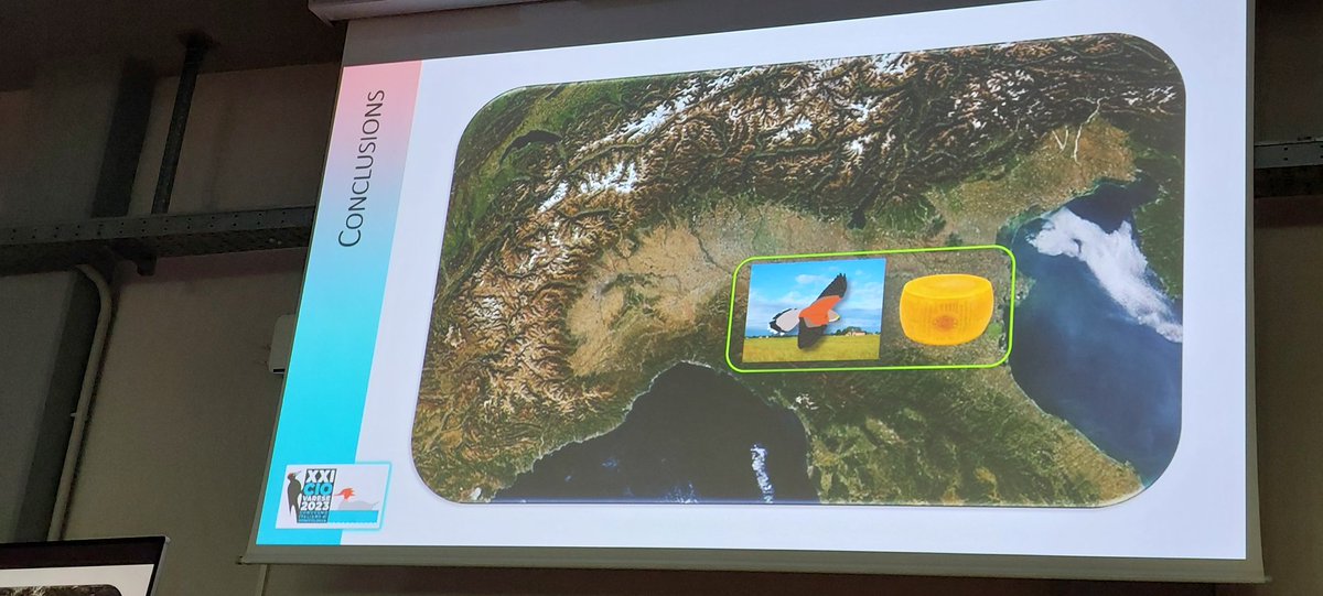 @lifefalkon tweet media