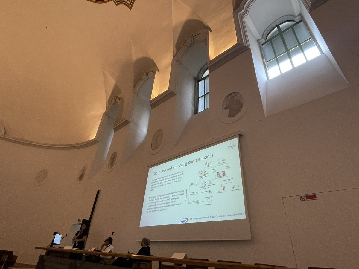 Plastic Busters tweet media