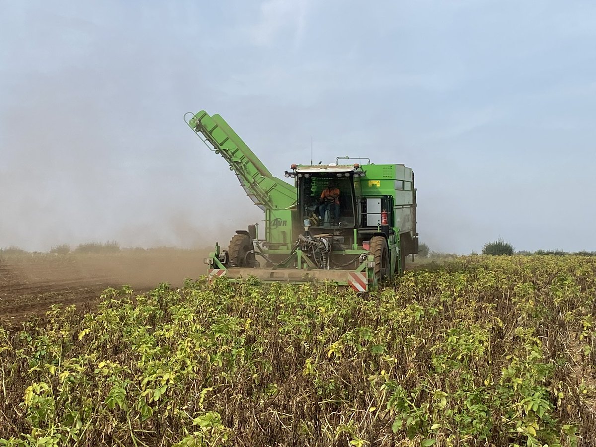 John Sedgwick (@jsedgwick67) on Twitter photo That’s not dust… its stoor! AVR harvesting a bit of challenger <a href="/JeremyLeadley/">Jeremy Leadley</a> ….. I’m not as flash as <a href="/potatosolutions/">Tim Kitson</a> 😉 That’s not dust… its stoor! AVR harvesting a bit of challenger <a href="/JeremyLeadley/">Jeremy Leadley</a> ….. I’m not as flash as <a href="/potatosolutions/">Tim Kitson</a> 😉