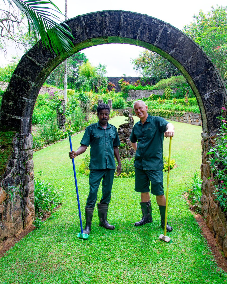 Resplendent Ceylon tweet media