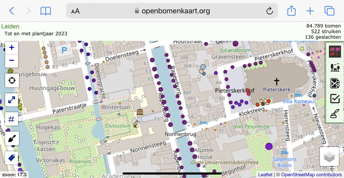 Dezelfde plek toen en nu: het Rapenburg in 1884 (prent uit Leidsch Jaarboekje 1948) en in 2023, gezien vanaf de Nonnenbrug. Toen iepen (gerooid in1936), tegenwoordig linden. Door riolering- en kadeherstel tussen 1970 en 1988 zijn toenmalige linden weer vervangen.
#bomen #Leiden