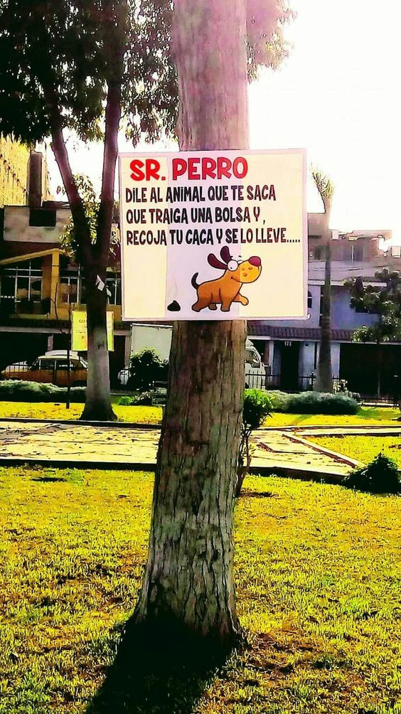 👏🏻👏🏻👏🏻