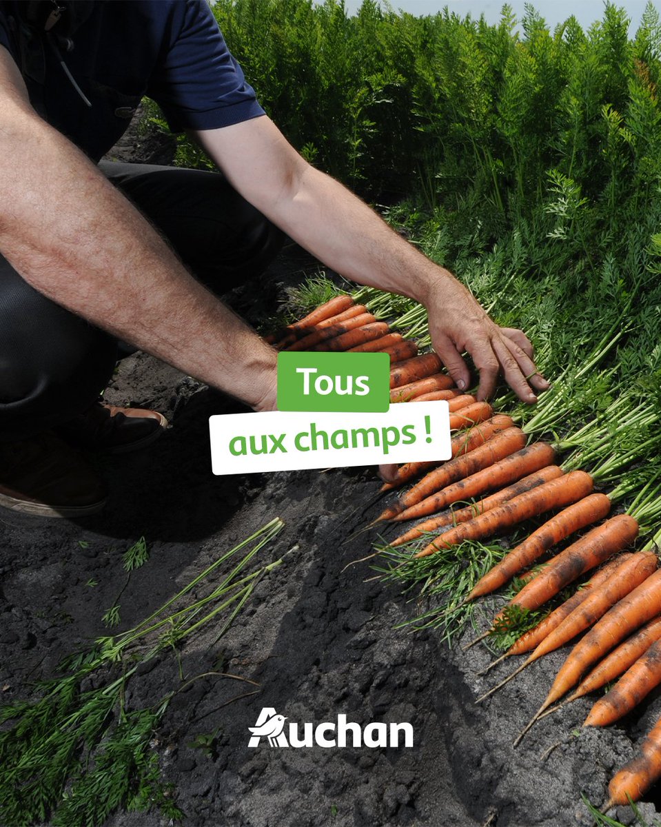 JimBataille's tweet photo. [Partenaires]

« Rejoignez Auchan et ses producteurs partenaires sur le stand O18 🧑‍🌾
🤫 : ils vous réservent plein de surprises. »
#jeunesagriculteurs #TerresdeJim https://t.co/NJgmNMMDoM