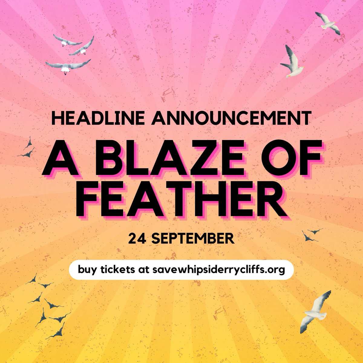 Save Whipsiderry Cliffs tweet media