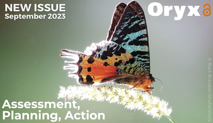OryxTheJournal's tweet photo. 📣Our latest issue is out now!🦋Highlighting our collaboration with @IUCNssc the September issue features 10 articles authored by SSC members, covering topics from species diversity in Madagascar to green turtle nesting in the South Pacific and much more: https://t.co/F6tsg4xtWS https://t.co/GoGbnAnv8Y