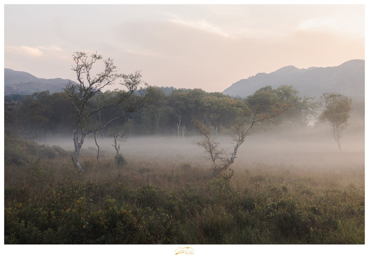 Another from the morning with <a href="/MarcRobbinsPho1/">Marc Robbins Photography</a> 

Our conversation is now live over on YouTube and Spotify. Search 'Finding Light with Brad Carr' to find it.

It was a beautiful, open and honest chat and I'm sure that you'll get plenty of value from it.