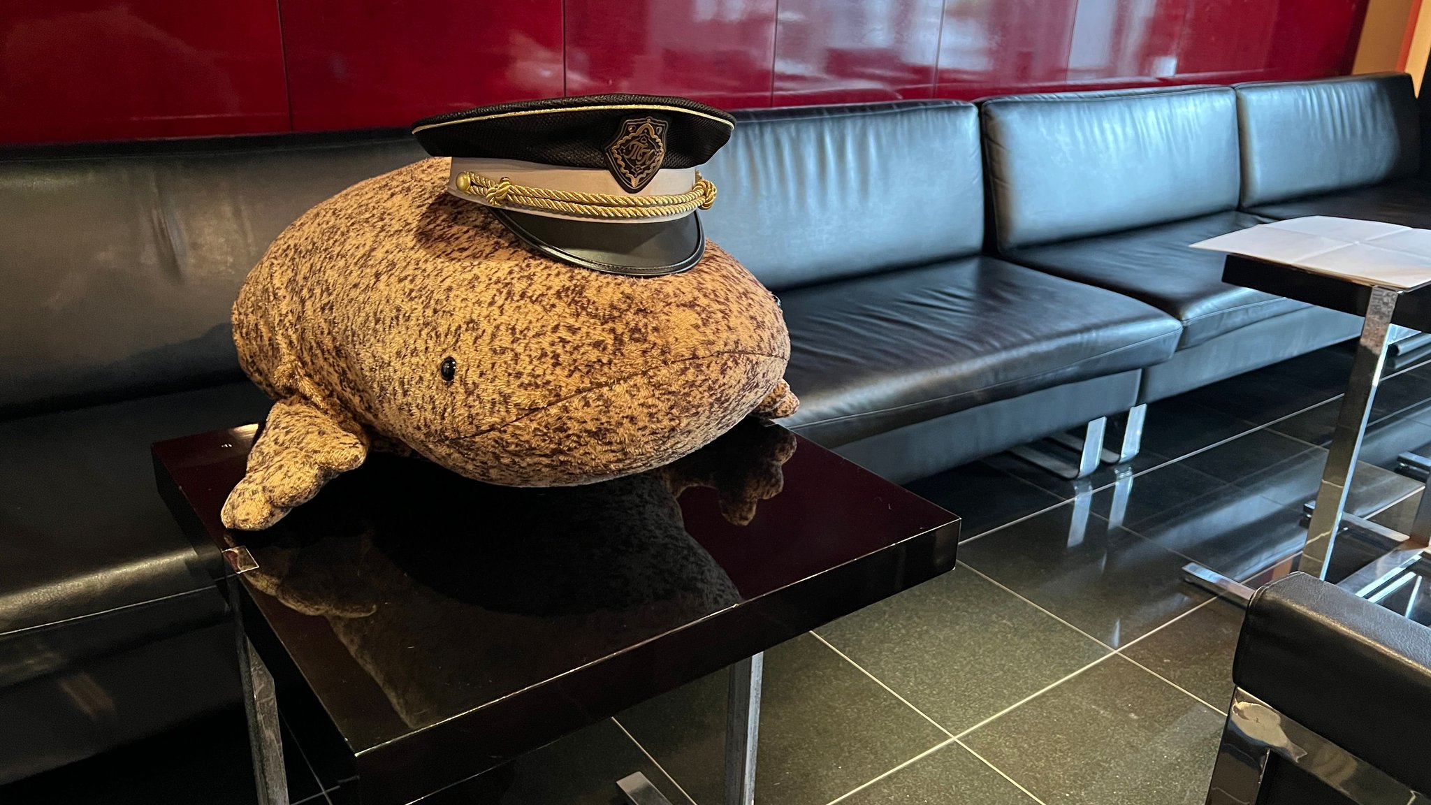 眞子さまお誕生のタクシー カード特別版 楽天市場】【ふるさと納税】鹿児島市内・桜島めぐり5時間コース