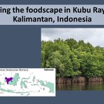 Photo by Michaela lo (@Mic_Lo1)