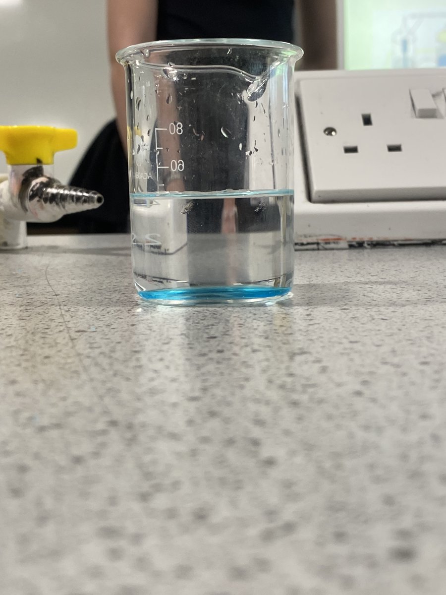 AcademyEastbank's tweet photo. Some lovely examples of diffusion with S3 this morning 🤩🧑🏼🔬⭐️👍🏻 #science #concentrationgradient @EastbankAcademy https://t.co/RZAT1aPg8U