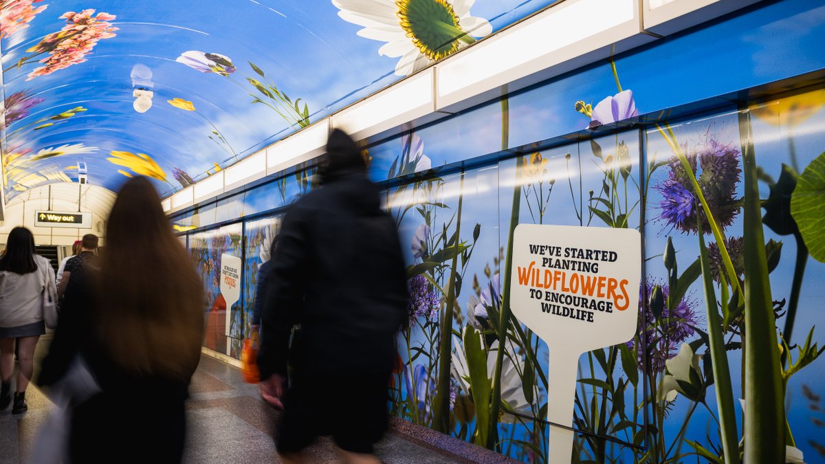 Talon (@talonooh) on Twitter photo 🥔🌸 McCain grows more than potatoes! 🥔🌻
<a href="/McCainUKIE/">McCain UK IE</a> raises awareness of its commitment to regenerative farming practices with immersive #OOH.
Great work with <a href="/PHD_UK/">PHD UK</a> & <a href="/aandeddb/">adam&eveDDB</a>.
Check out the pop-up and seed paper mural on <a href="/GrandVisual/">Grand Visual</a>'s page! 🥔🌸 McCain grows more than potatoes! 🥔🌻
<a href="/McCainUKIE/">McCain UK IE</a> raises awareness of its commitment to regenerative farming practices with immersive #OOH.
Great work with <a href="/PHD_UK/">PHD UK</a> & <a href="/aandeddb/">adam&eveDDB</a>.
Check out the pop-up and seed paper mural on <a href="/GrandVisual/">Grand Visual</a>'s page!