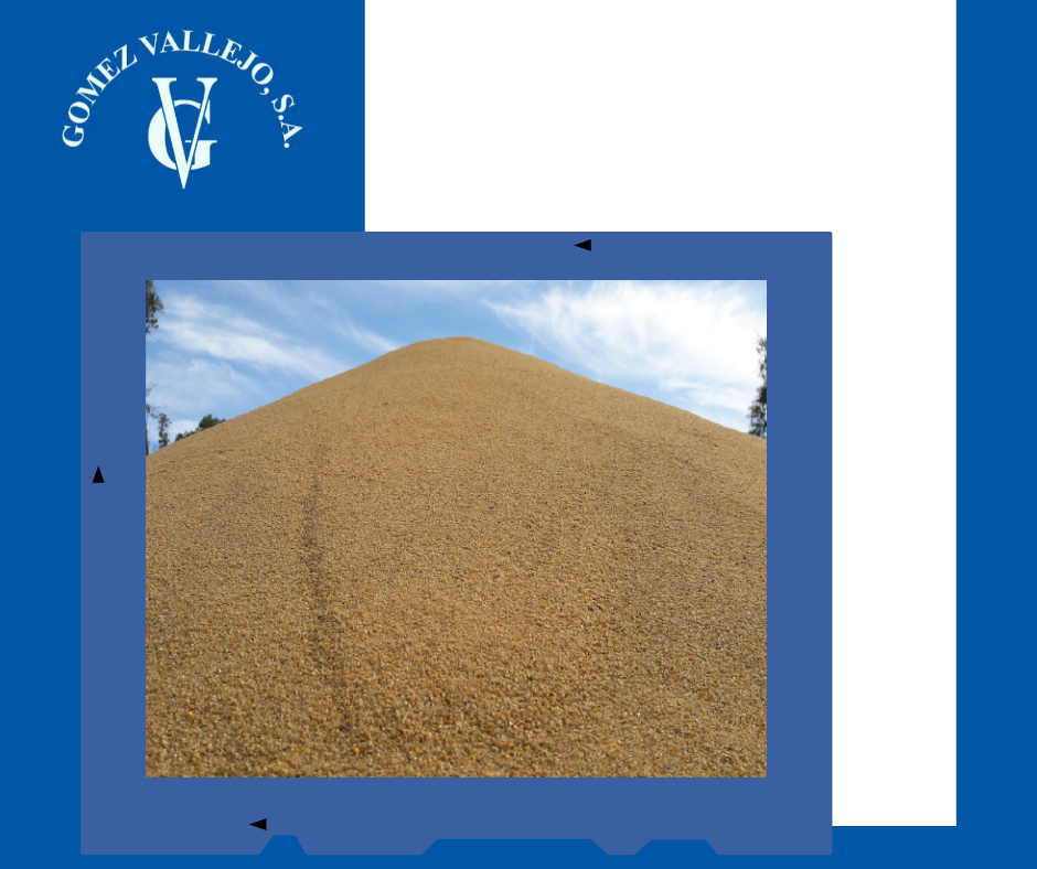 Arenas Silíceas tweet media