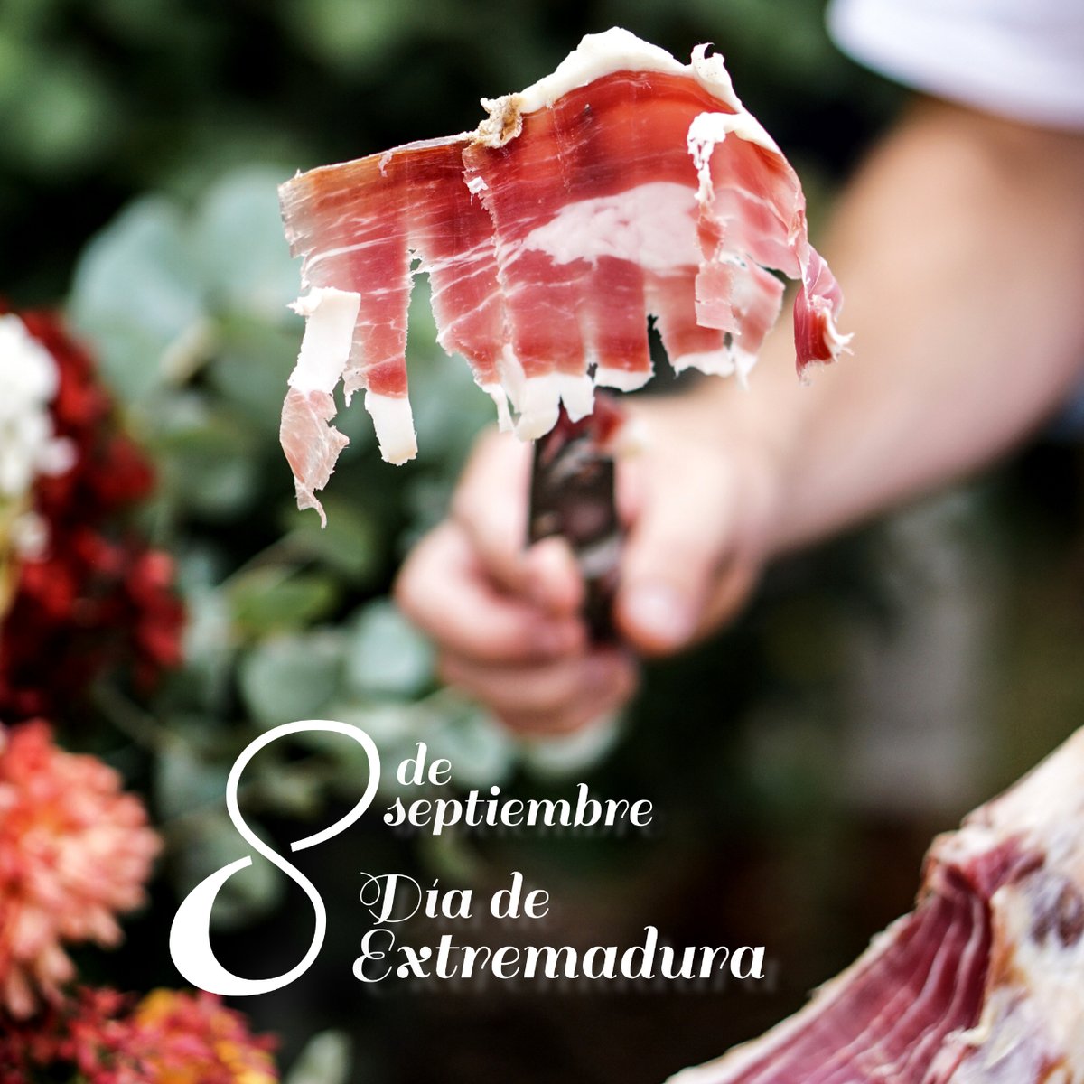 Feliz día de Extremadura

#restaurantehomarus #caceres #extremadura #instafood #deliciososabor #cocinamediterranea #gastronomiaespañola #saborytradición #abriendoboca