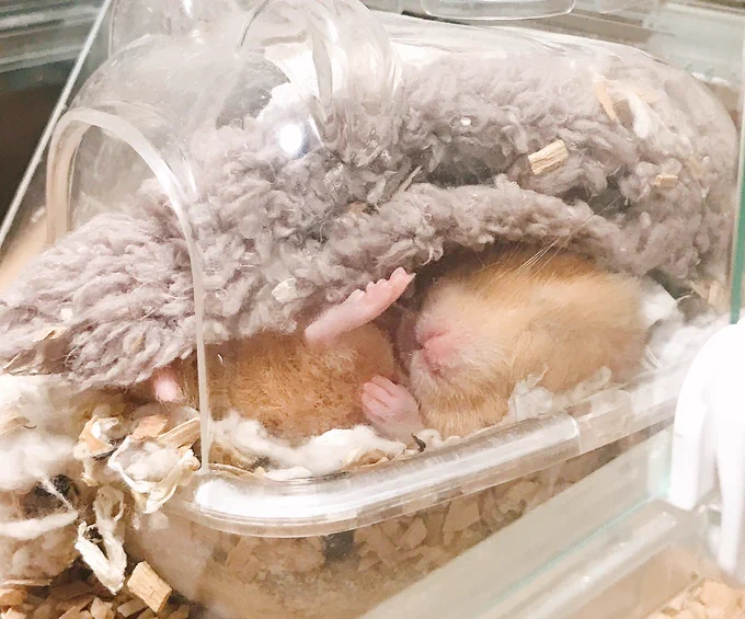 おわ… 