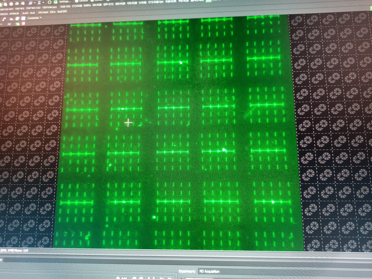 When you see what you have!! 
#fluorescentfriday #AcademicChatter  #PhD #fluorescentmicroscopy #lithography
@lab_klym