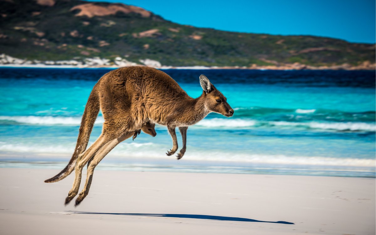 maximrec's tweet photo. Do you want to make the leap into disputes work in Australia? We’ve just listed 8 new job opportunities for Quantum and Delay Associates in Brisbane and Perth, interviewing now.
https://t.co/njATJMiMnb
#qsjobsaustralia #quantumdelay https://t.co/4M4Ye68Wfq