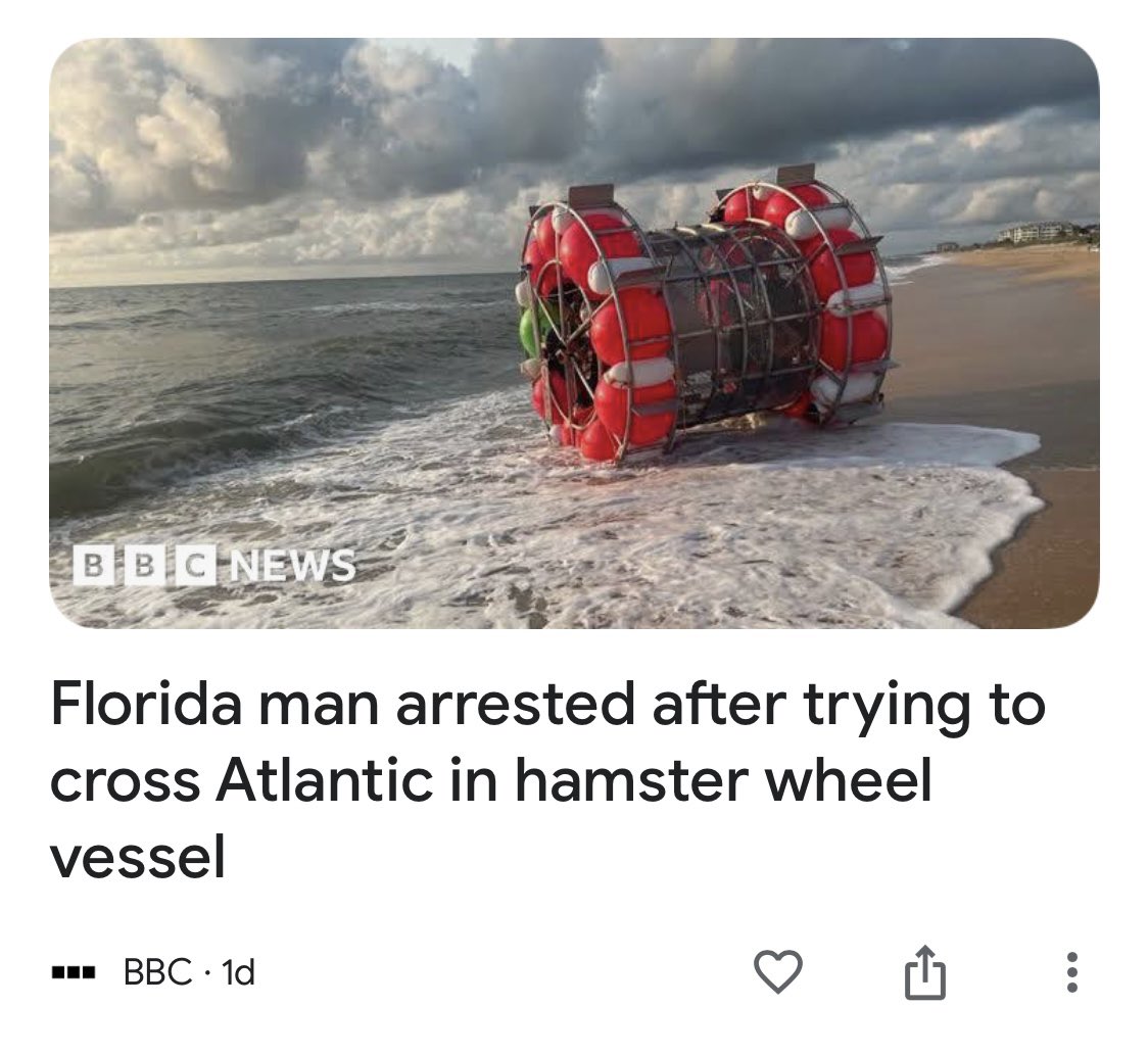 AnemoneTea's tweet photo. He’s back—&amp; this time he got wheel. https://t.co/D0ezYl1k6v