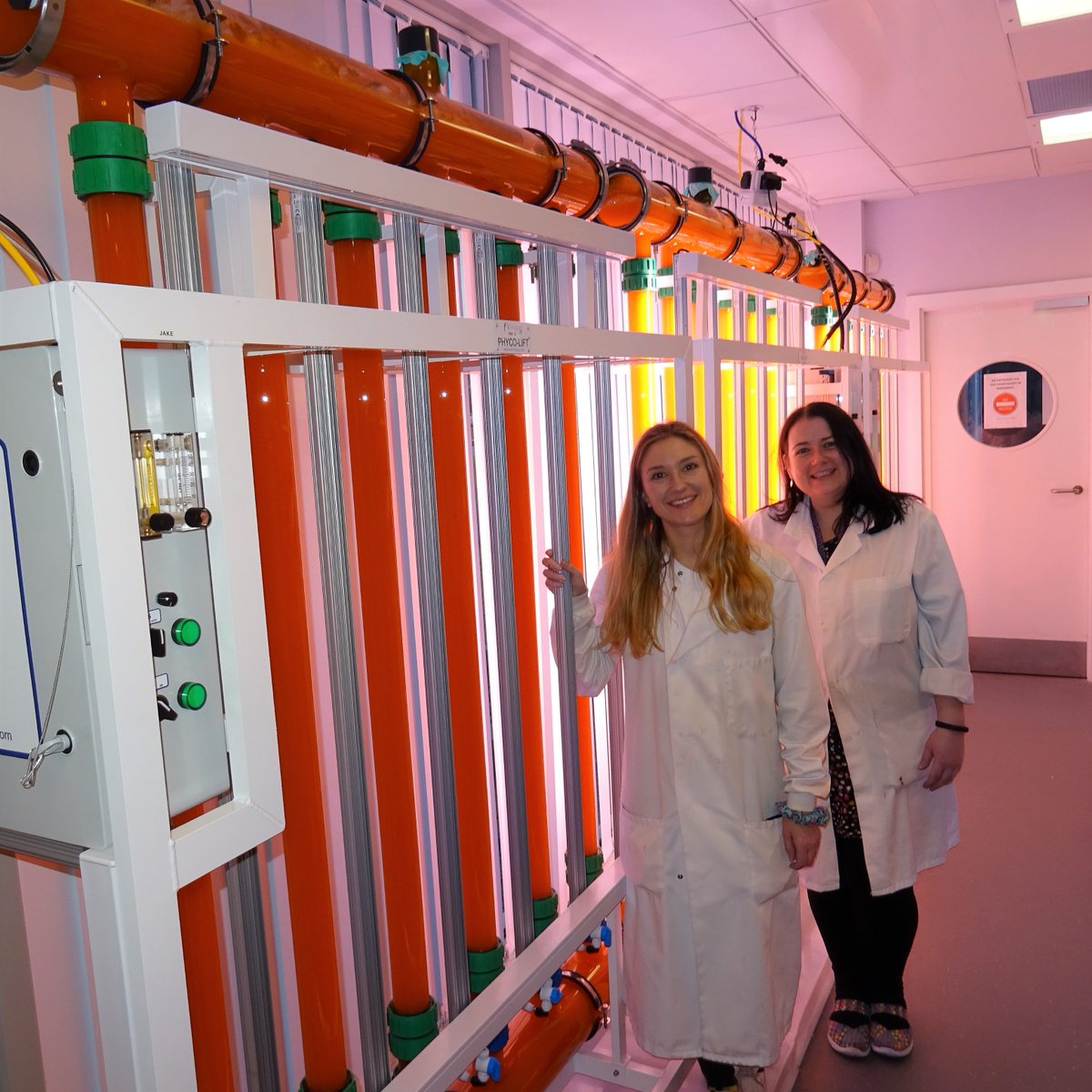 CCAP_Oban's tweet photo. CCAP are delighted to share a new paper by Ellie Wood (@SAMSoceannews PhD student)
"From green to orange.." is the first paper published using CCAP-ARIES photobioreactors for cultivation scale-up. Hopefully the first of many!

https://t.co/pS5vV5T47c

@IBioIC @NERCscience @BBSRC https://t.co/ixH5ToPayo