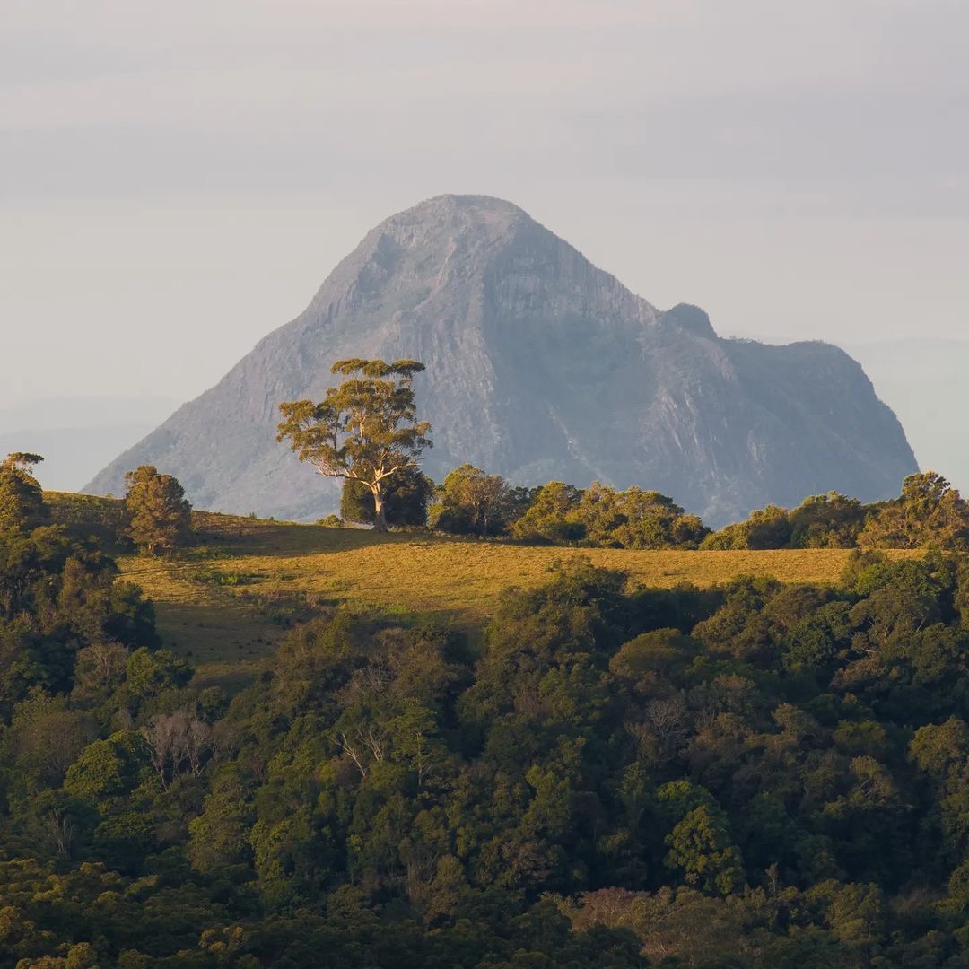 Our Glasshouse Mountains are as pretty as a painting (and the lush hinterland surrounding them is quite alright as well 😉) 🌄 🌲 📸 credit: @natural_captures_photography (Instagram) #visitsunshinecoast #australia #travelphotography #sunshinemoment #sunshinecoastforreal