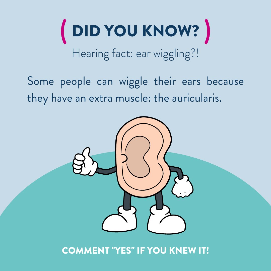 👂 Did you know? ⬇️

Have you ever wondered why some people can wiggle their ears? 🤔 It's all thanks to a nifty little muscle called the auricularis.

Can you wiggle your ears?

#EarWiggling #UniqueAbilities #FunHearingFacts #HearingHealth #HearingCare #FunFactFriday