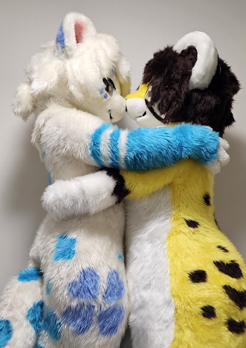 akimitsuki1's tweet photo. 昔から仲良し2人！(*´ч`*

 #FursuitFriday https://t.co/RzJUsmfJhk