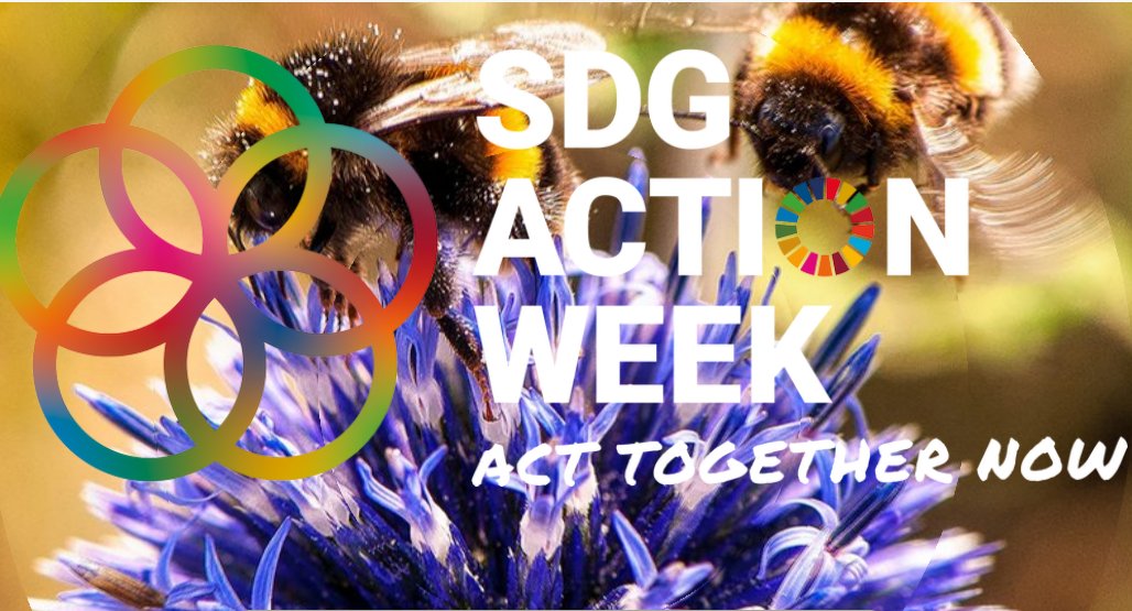 Hoe draag jij bij aan Our Common Agenda, de oproep vanuit de VN tot inclusieve en effectieve samenwerking voor duurzame ontwikkeling?
Kom naar onze actiestand op 26 september 2023 om in gesprek te gaan met verschillende Worldconnectors over de relatie tussen mens en natuur.