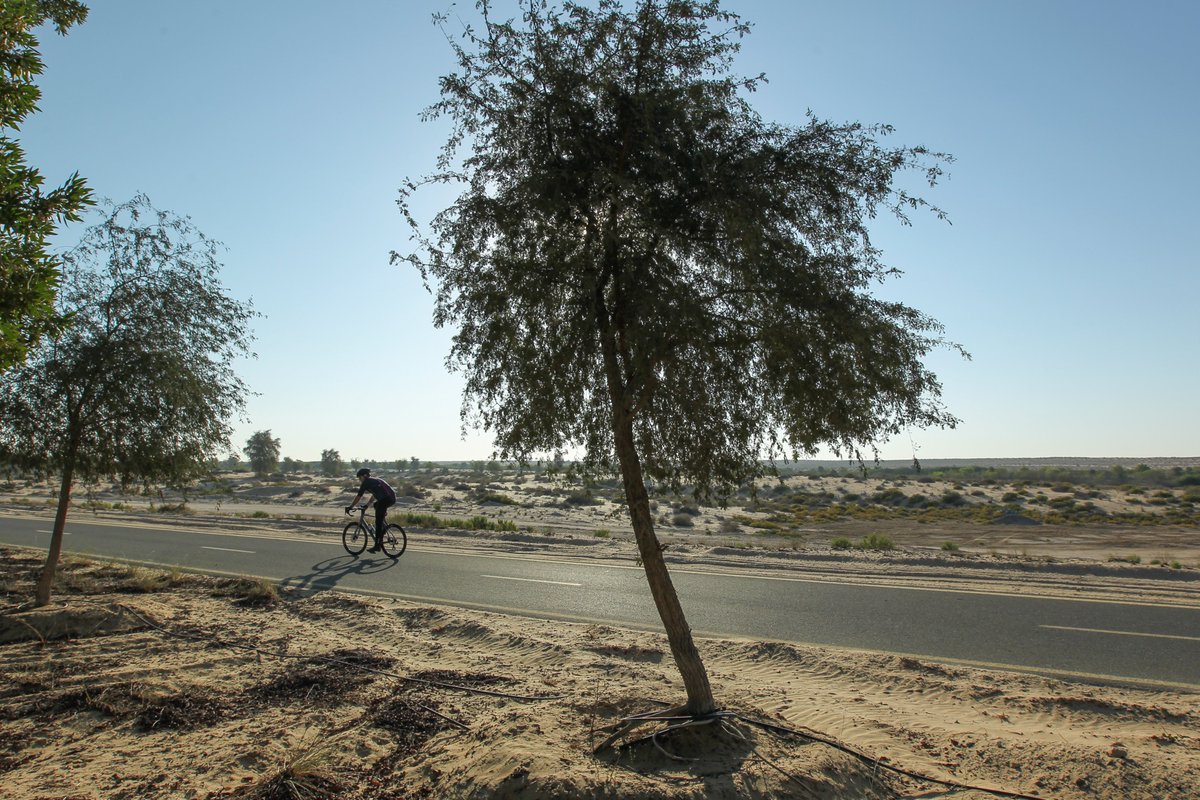 SpinneysDubai92's tweet photo. Spinneys is committed to planting trees for kilometres cycled during our upcoming Build-Up Rides and is inviting all our registered riders to join them in keeping fit, while doing good for the environment. @Spinneys_UAE #yearofsustainabilty #activegivingapp https://t.co/WLvSF1EkKs
