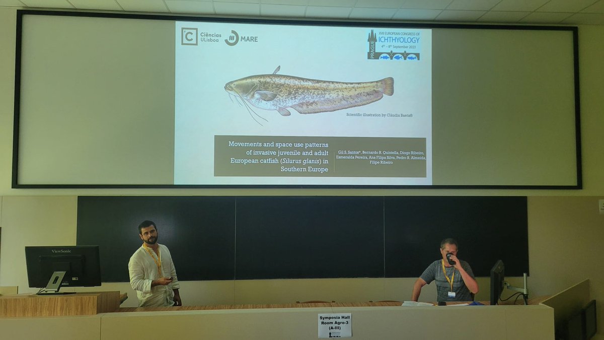 FishInvasionLab's tweet image. A lot of interested folks on #MEGAPREDATOR project that aims to understand European catfish #silurusglanis movement patterns and predation on migratory fish. This new knowledge will be key for #LIFEPREDATOR catfish removal actions. @MARE_centre @CE3CResearch @FC_UL #eci2023
